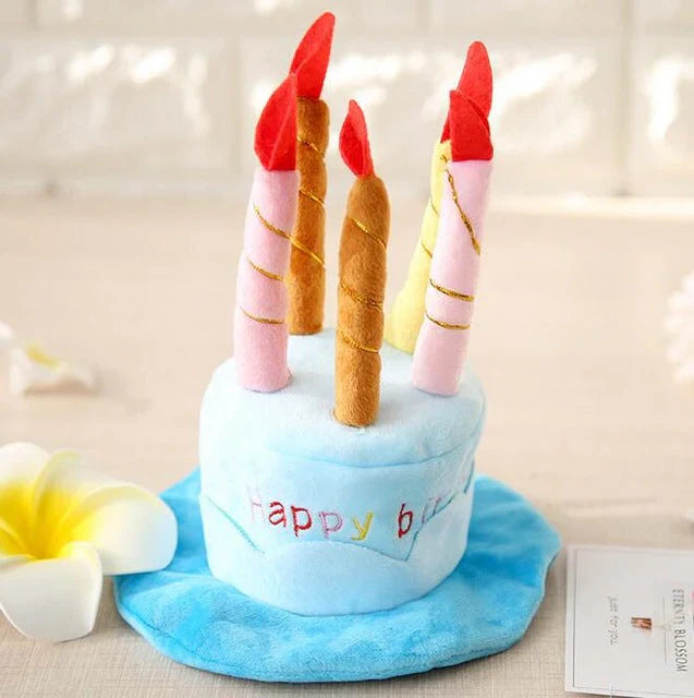 Pet Birthday Hat – PartyPaws Bowlift