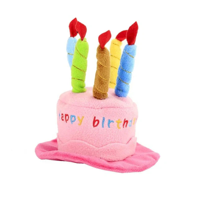 Pet Birthday Hat – PartyPaws Bowlift
