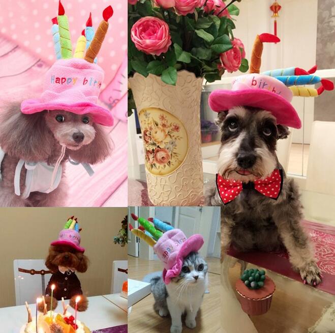 Pet Birthday Hat – PartyPaws Bowlift