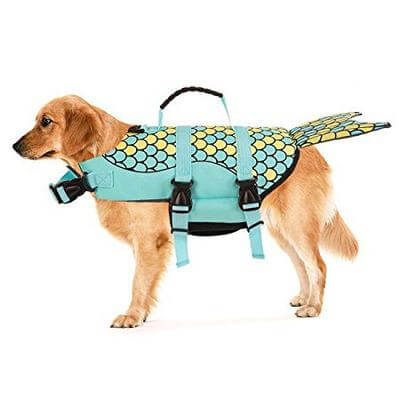 BowLift | Shark Doggie Swim Vest