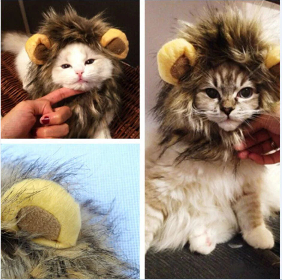 Royal Cat Mane – FelineKing Bowlift