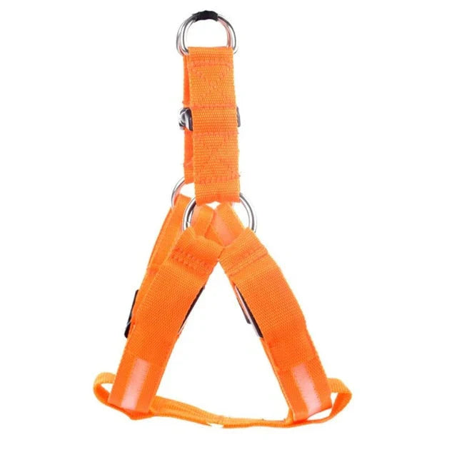 GlowSafe LED Dog Harness Bowlift