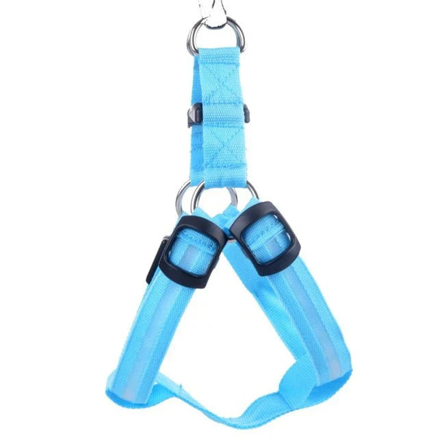 GlowSafe LED Dog Harness Bowlift