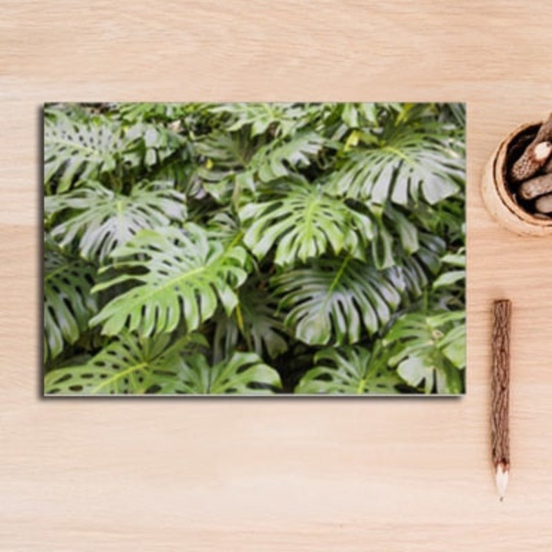 Modern Refreshing Landscape Green Leaves - Canvas Wall Art Painting | Bowlift