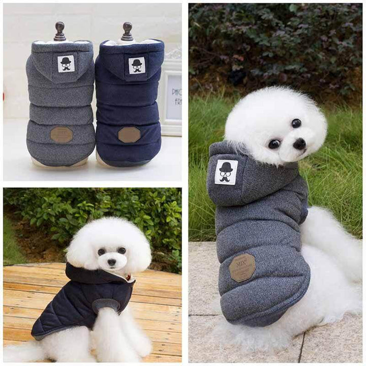 BowLift | Cute Winter Pet Coat for Cat and Dogs