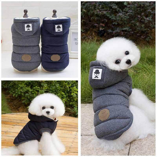 BowLift | Cute Winter Pet Coat for Cat and Dogs