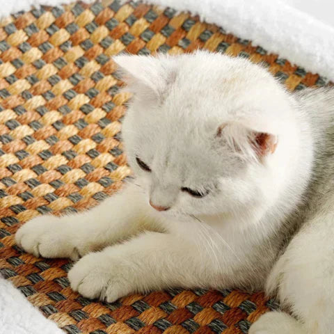 Scratching Bed for Cats - PurrLuxe Bowlift