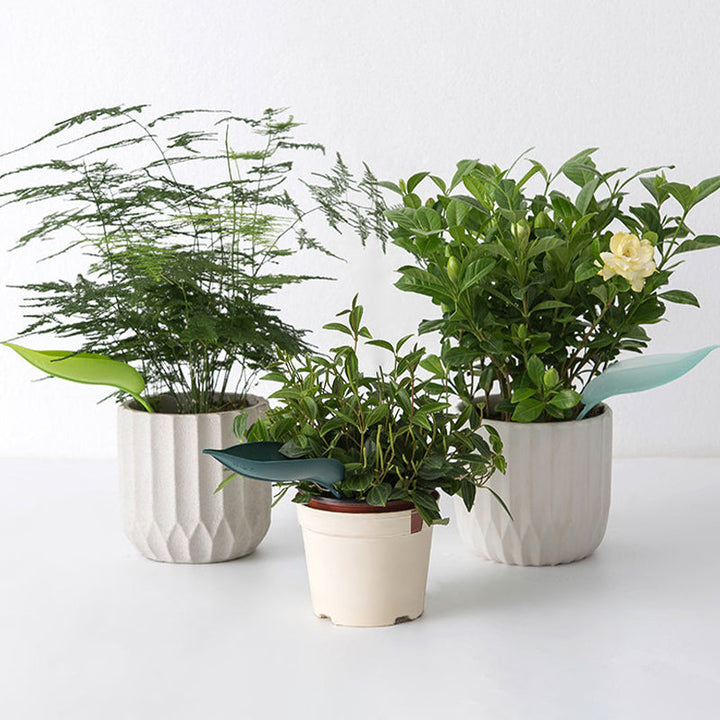 BowLift | Funny Watering Leaves (6pcs)