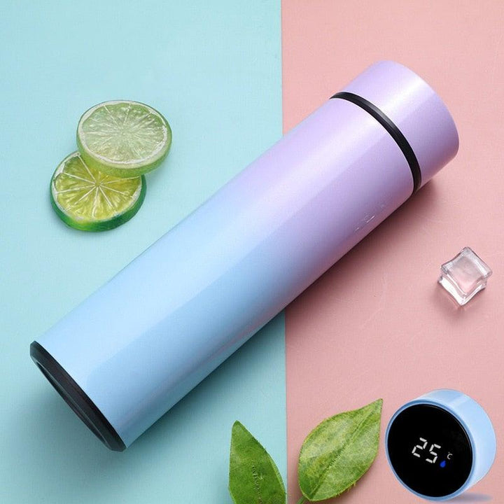 BowLift | Smart Thermos - LED Digital Temperature Display Thermos Bottle