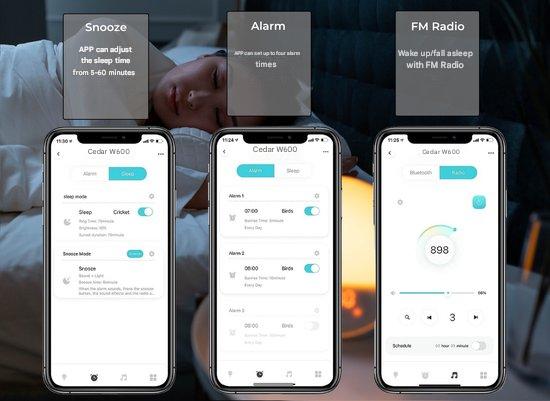 BowLift | Smart Wake-Up Light with App – Soluna
