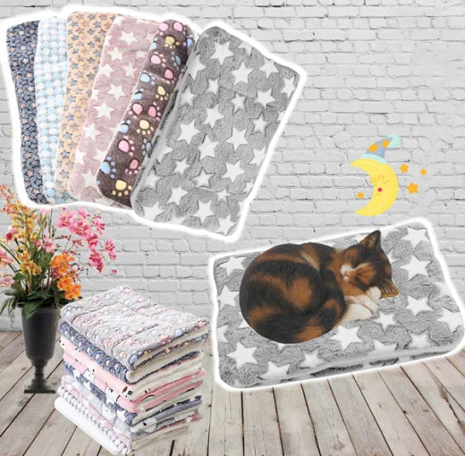 SnuggleSoft Warm Cat Blanket Bowlift