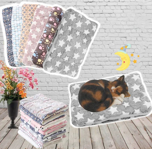 SnuggleSoft Warm Cat Blanket Bowlift