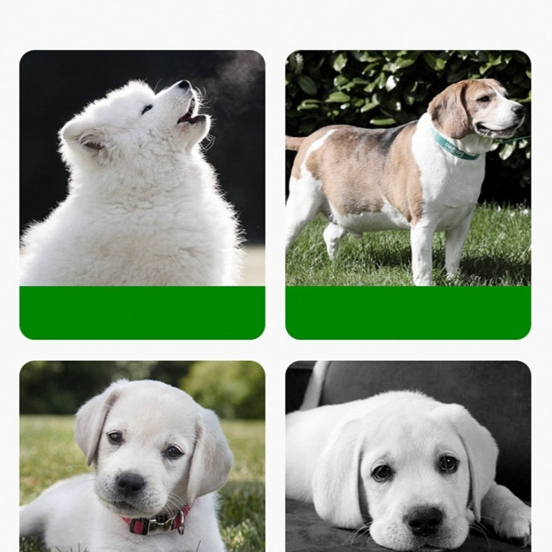 BowLift | Innovative Silicone Feeding Mat for Animals