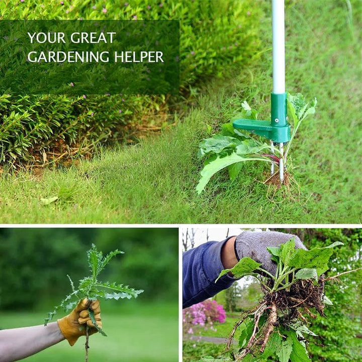 BowLift | Standing Plant Root Remover