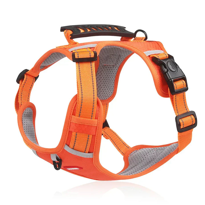 Sturdy & Comfortable Dog Harness - ActivePup™ Bowlift
