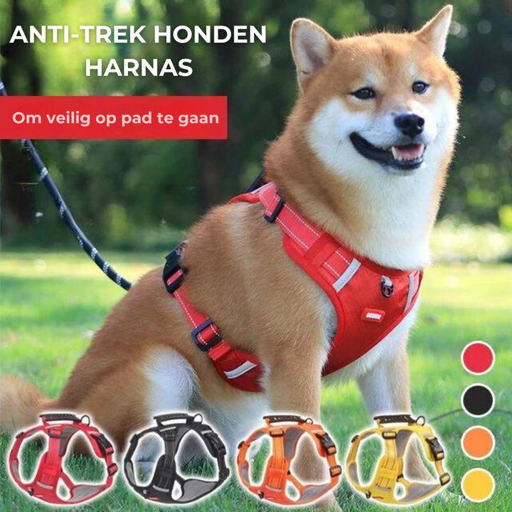 Sturdy & Comfortable Dog Harness - ActivePup™ Bowlift