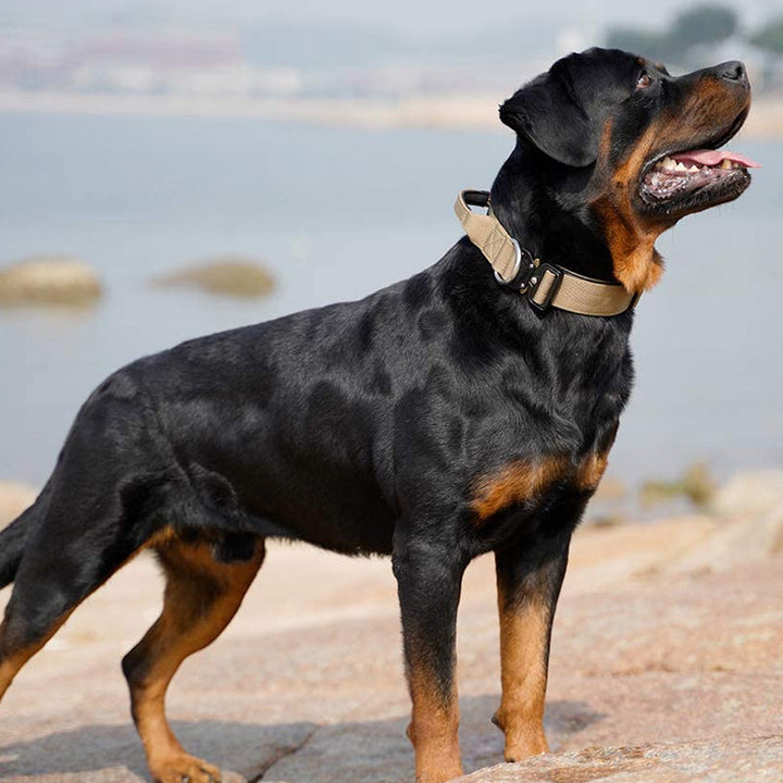 Tactical Dog Collar with Handle - PowerGrip Bowlift
