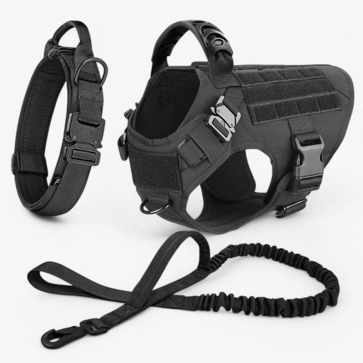 BowLift | Adjustable Dog Harness for Safe and Comfortable Training