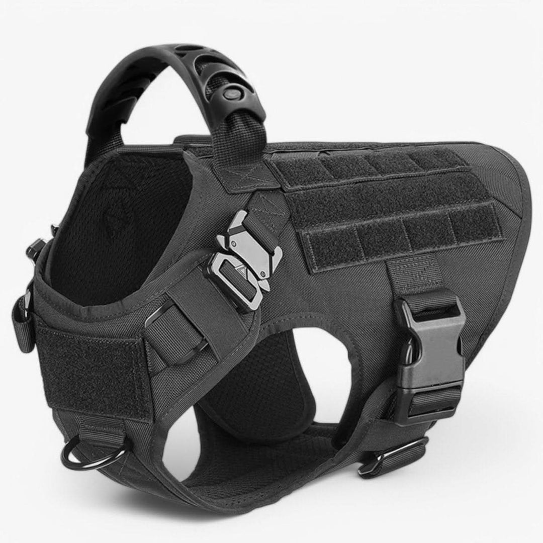 BowLift | Adjustable Dog Harness for Safe and Comfortable Training
