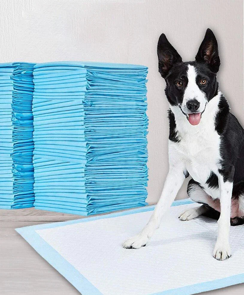 Toilet Training Pads - PeeMaster Pads Bowlift
