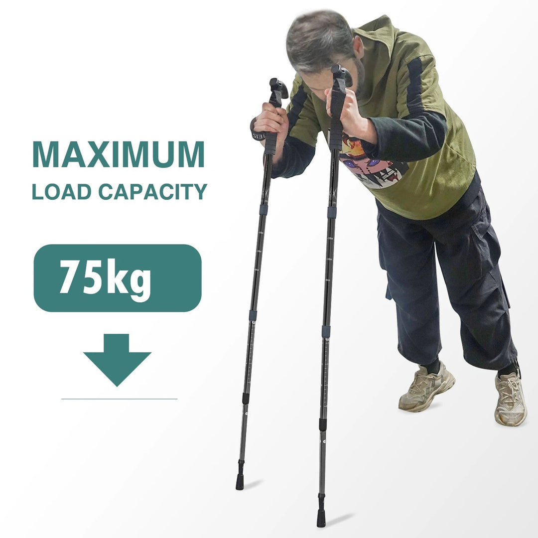 TrekPixin trekking poles adjustable T-grip | Bowlift