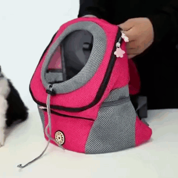 BowLift | PawCarry – Together everywhere on the go