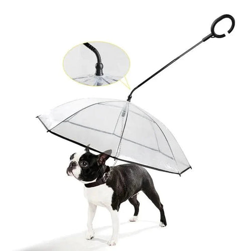 BowLift | Transparent umbrella for dogs